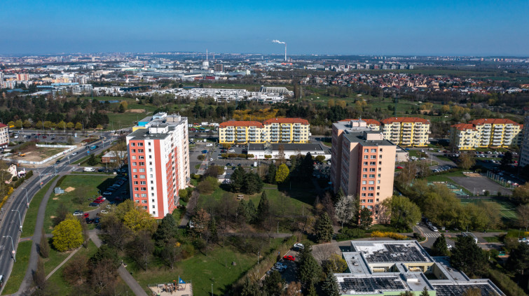 Žirafa