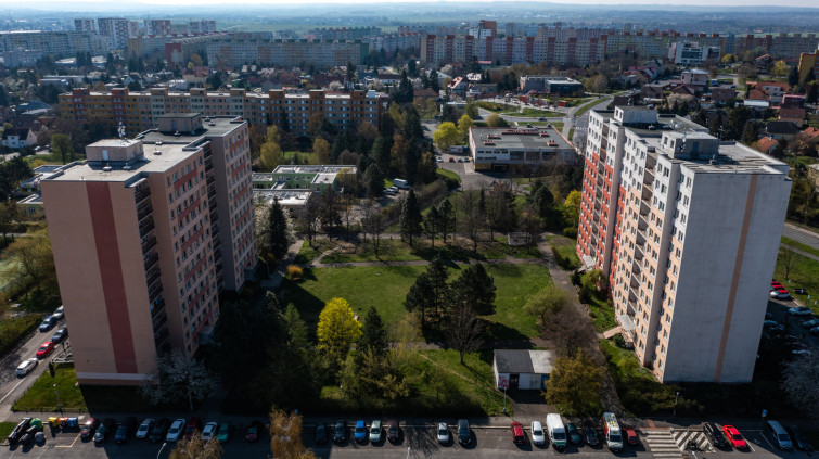 Žirafa